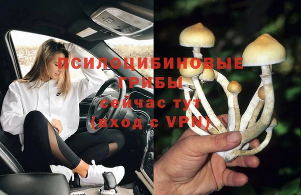 mdma Бородино