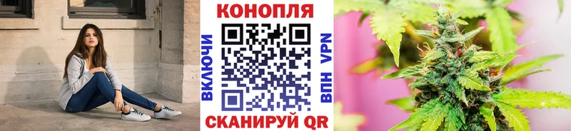Бошки марихуана сатива  блэк спрут ССЫЛКА  Нолинск  сколько стоит 